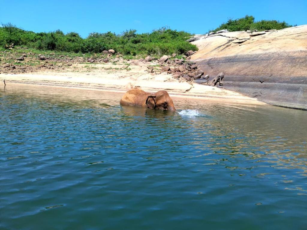Gal Oya Lake View Inginiyagala Polwatta Exterior photo