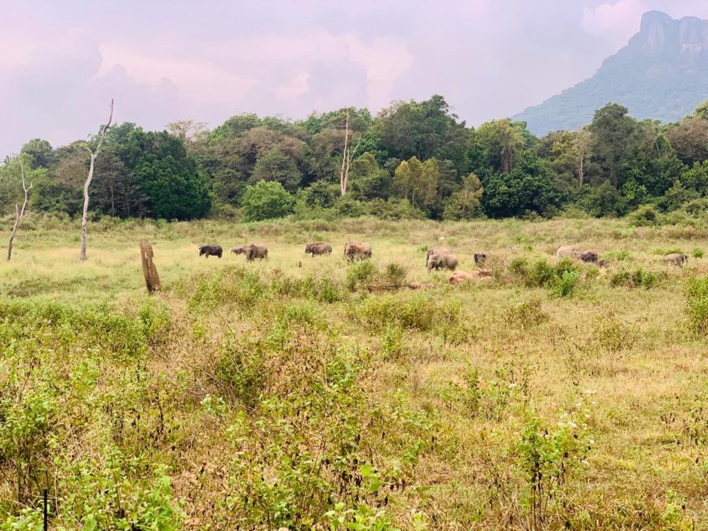 Gal Oya Lake View Inginiyagala Polwatta Exterior photo